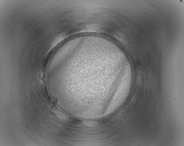 X0000078021258200611101838