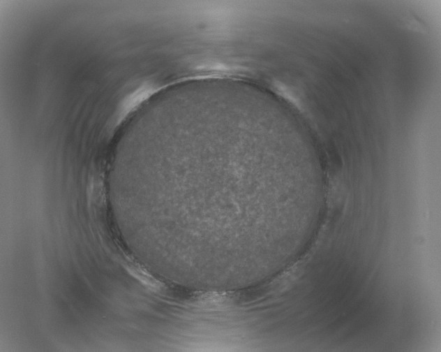 X0000078021259200611101837