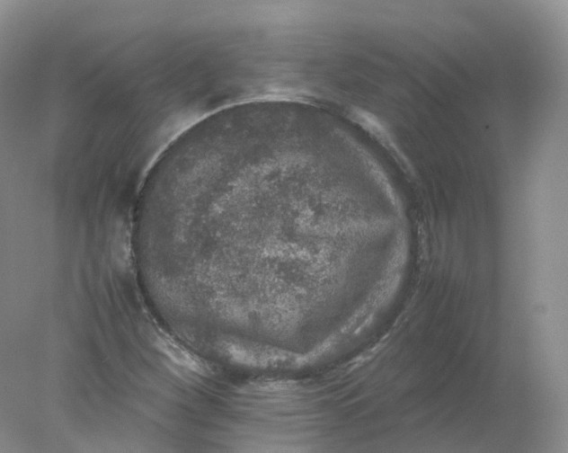 X0000078021260200611101837