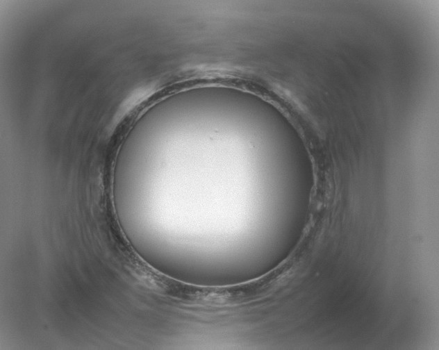 X0000078021261200611101837