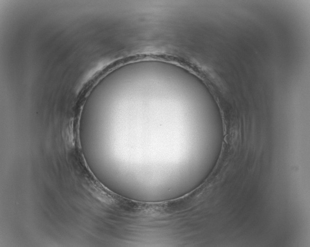 X0000078021262200611101837