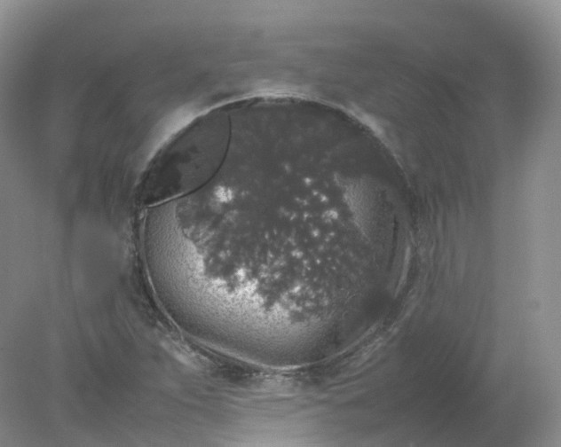 X0000078021263200611101837