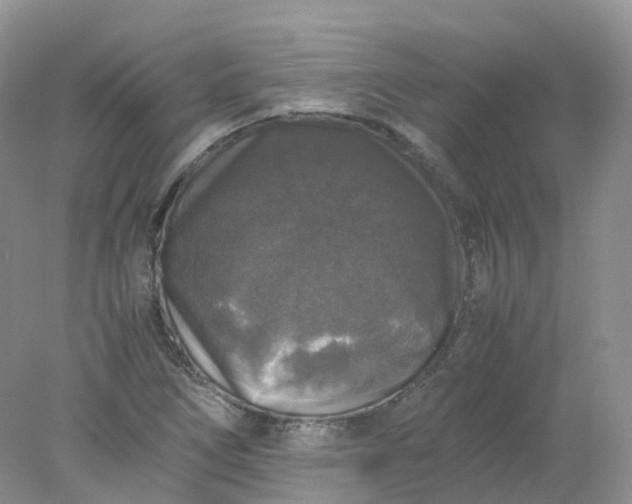 X0000078021266200611101837