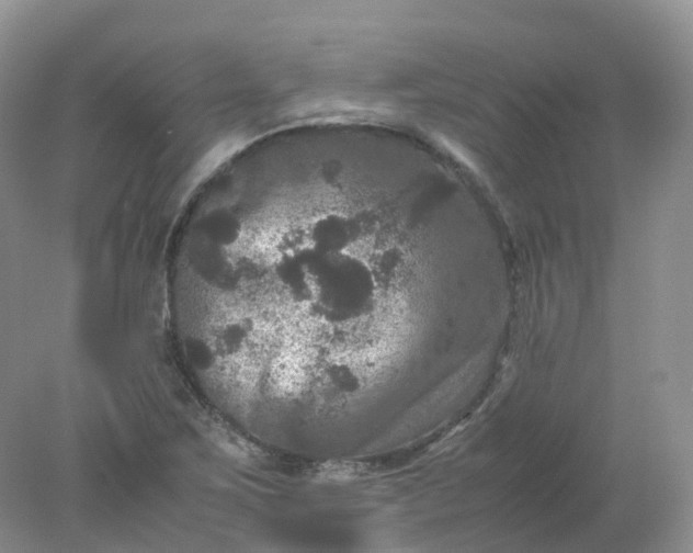 X0000078021267200611101837