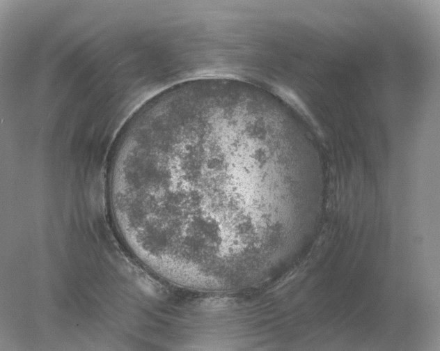 X0000078021268200611101837