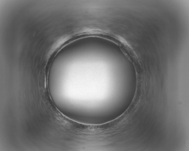 X0000078021269200611101837