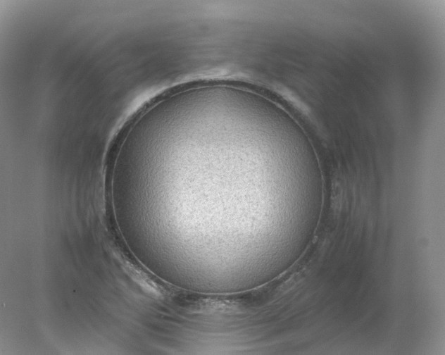 X0000078021270200611101837