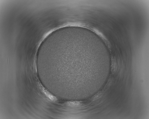 X0000078021272200611101837