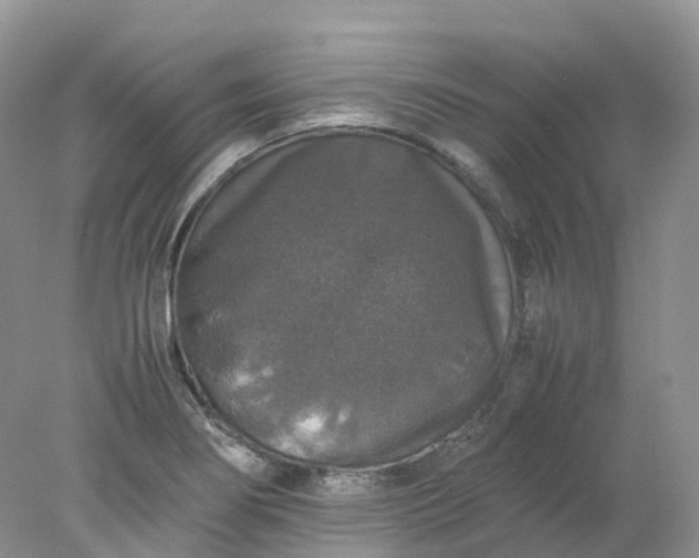 X0000078021274200611101837