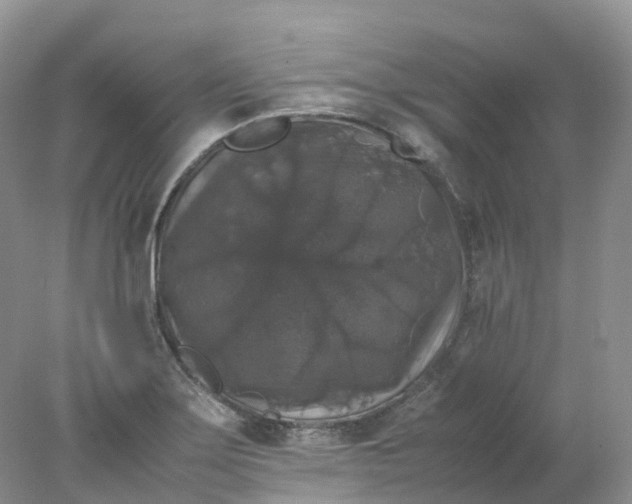 X0000078021275200611101837