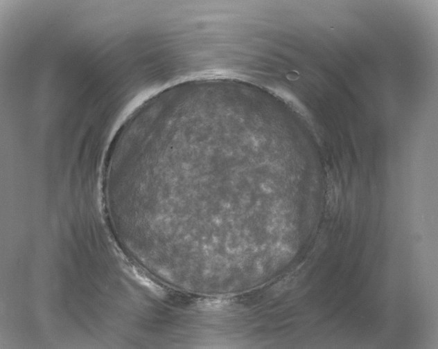 X0000078021278200611101837