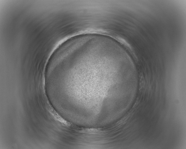 X0000078021280200611101837