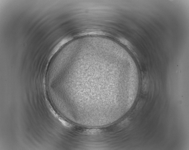 X0000078021282200611101837