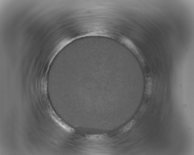 X0000078021284200611101837