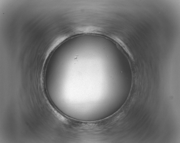 X0000078021285200611101837