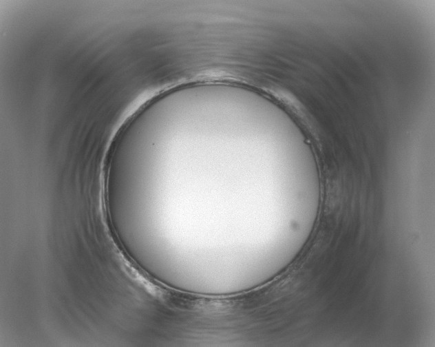 X0000078021286200611101837