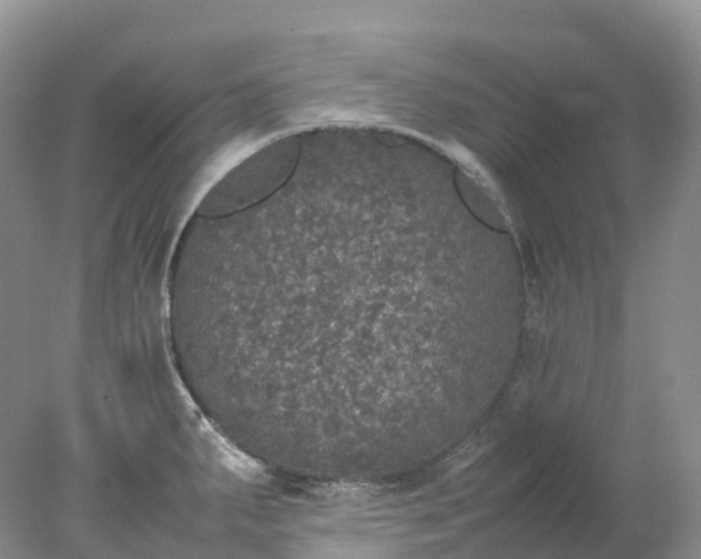 X0000078021287200611101837