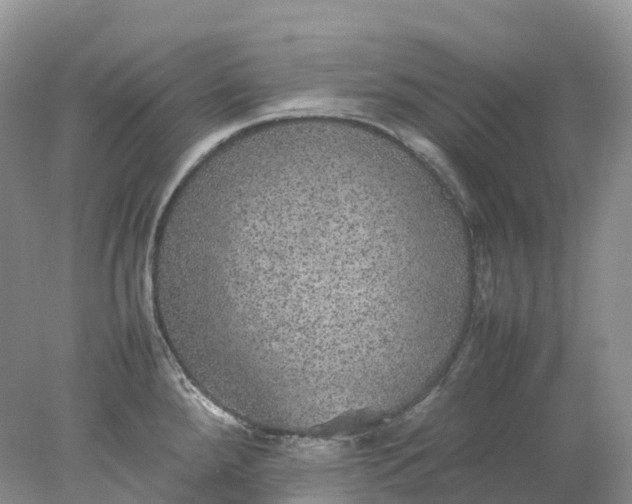 X0000078021288200611101837