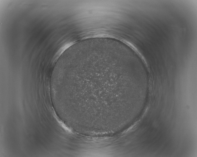 X0000078021289200611101837