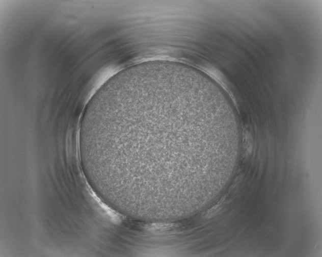 X0000078021290200611101837