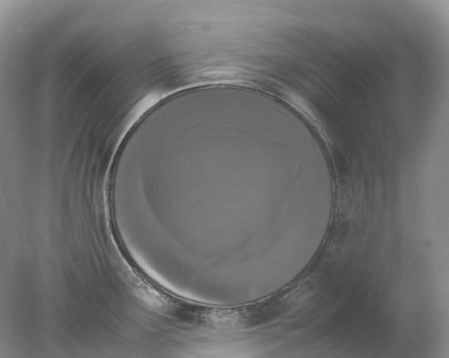 X0000078021291200611101837