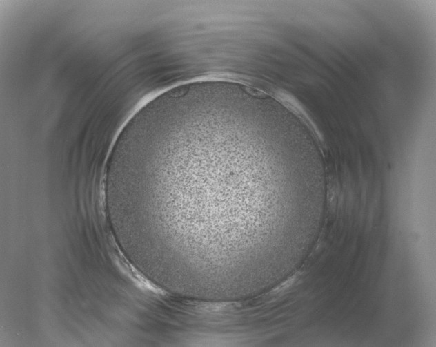 X0000078021292200611101837