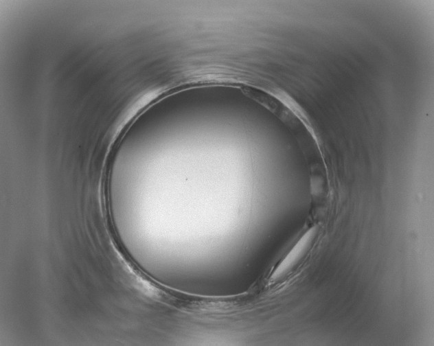 X0000078021293200611101837