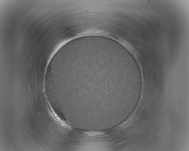 X0000078021296200611101837