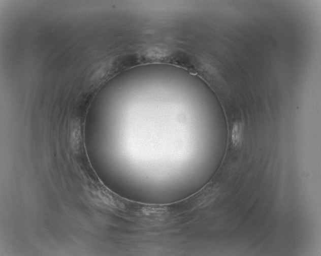 X0000078021299200611101836