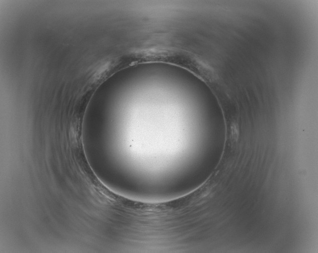 X0000078021300200611101836