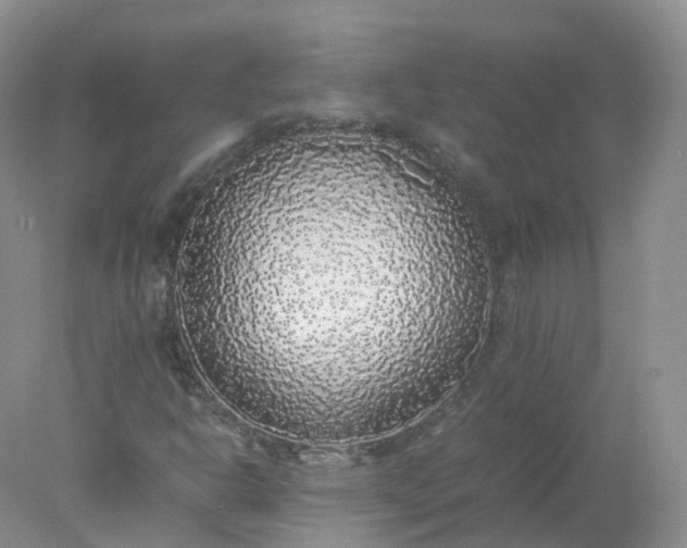 X0000078021302200611101836