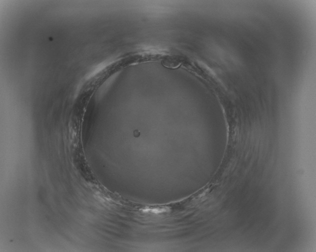 X0000078021303200611101836