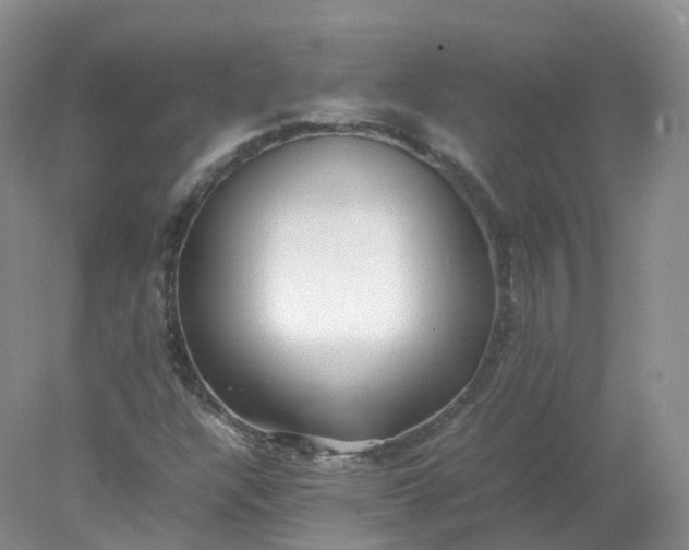 X0000078021304200611101836