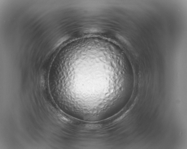 X0000078021305200611101836