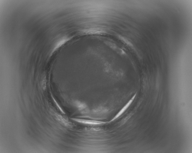 X0000078021306200611101836