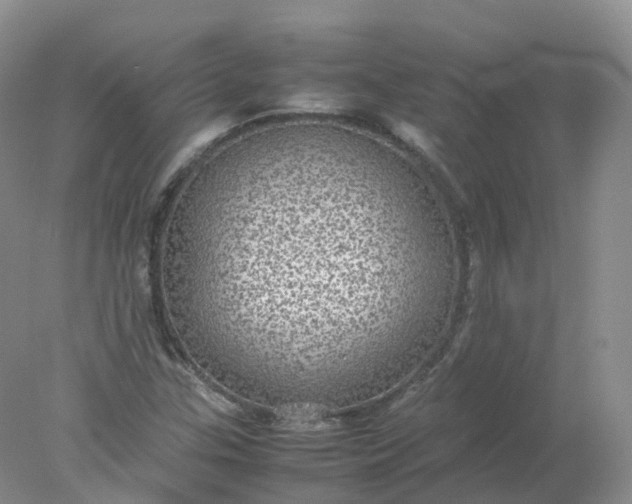 X0000078021307200611101836