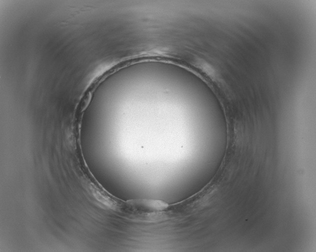 X0000078021308200611101836