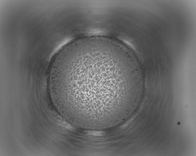 X0000078021309200611101836