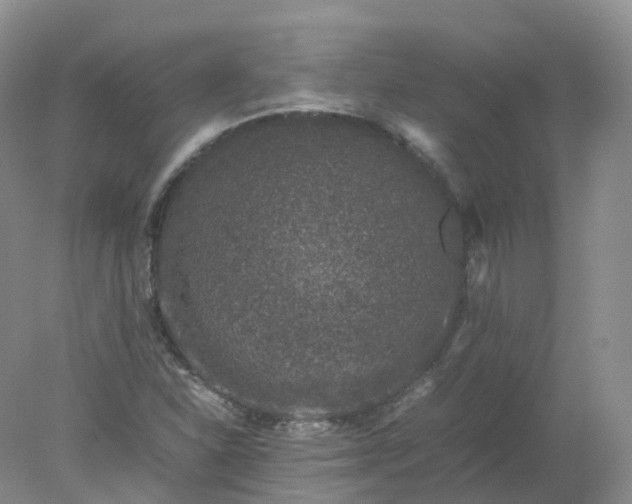 X0000078021310200611101836