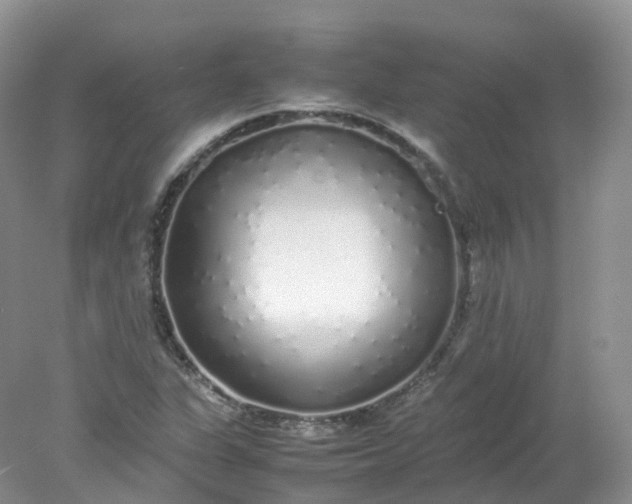 X0000078021311200611101836