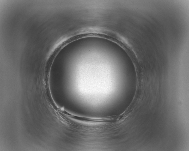 X0000078021312200611101836