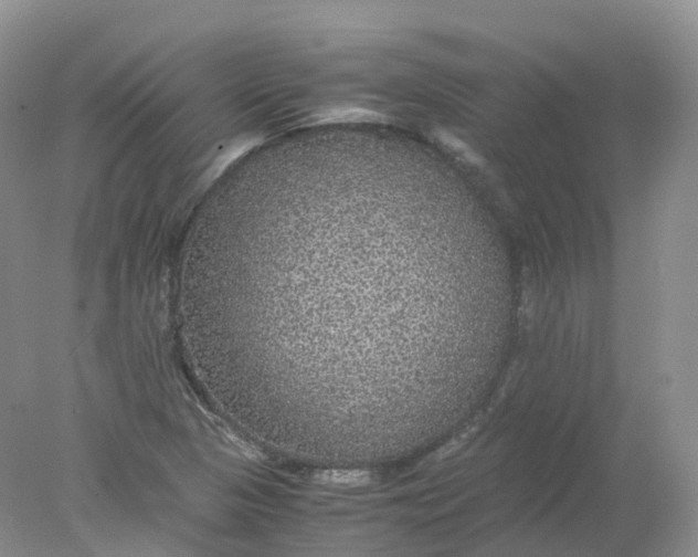 X0000078021313200611101836