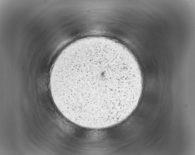 X0000078021314200611101836