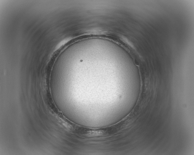 X0000078021315200611101836