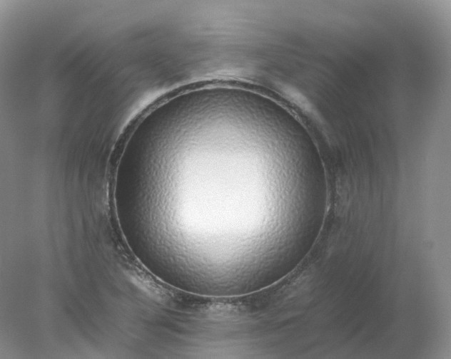 X0000078021316200611101836