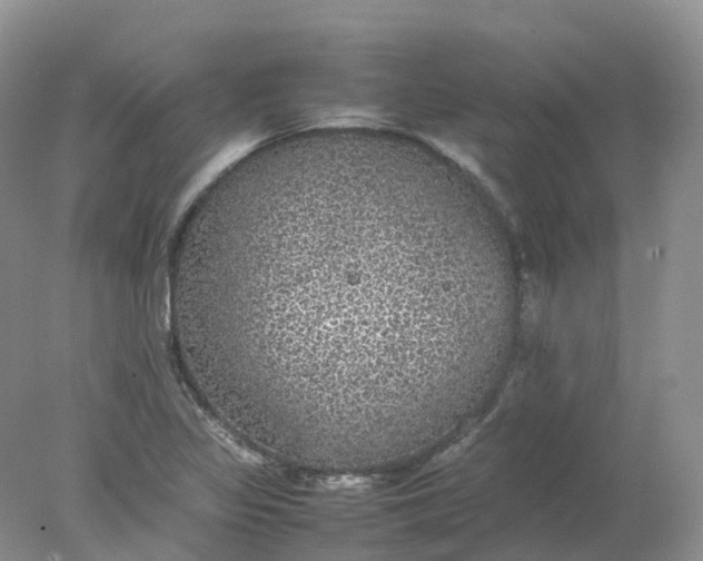 X0000078021317200611101836