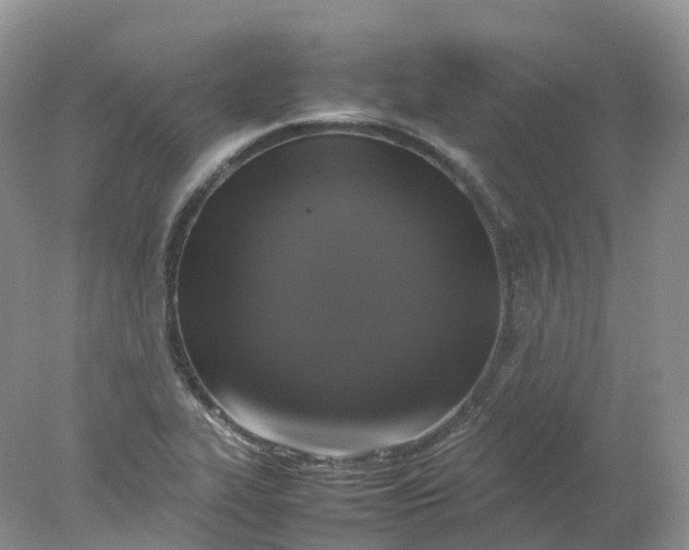 X0000078021319200611101836