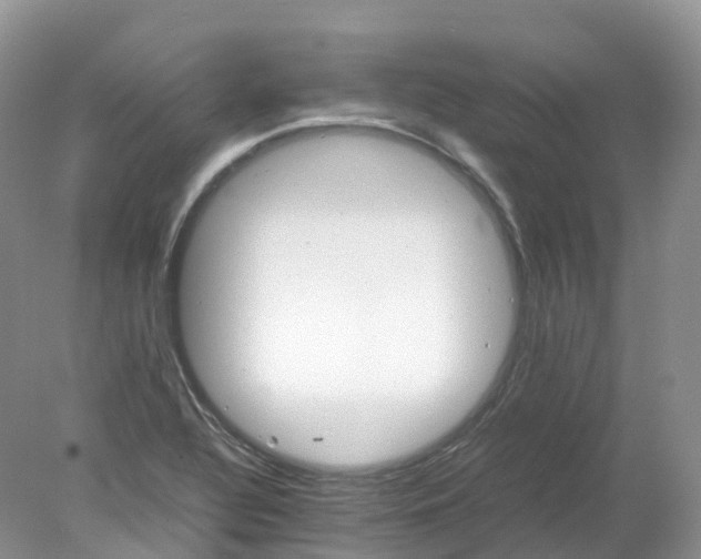 X0000078021320200611101836