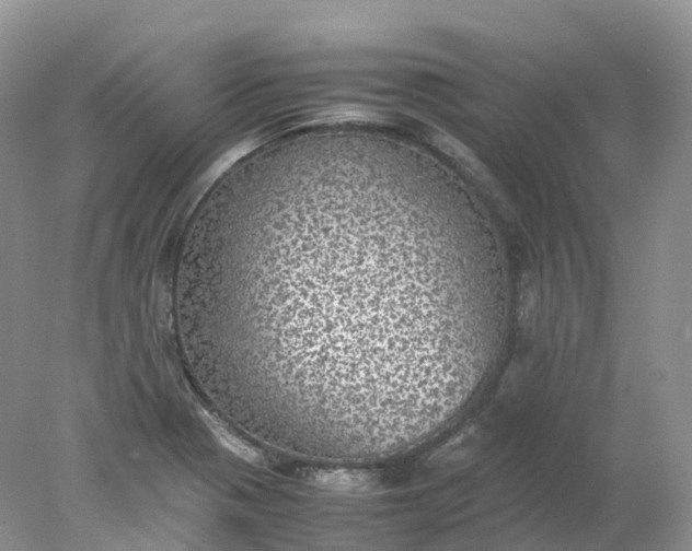 X0000078021321200611101836