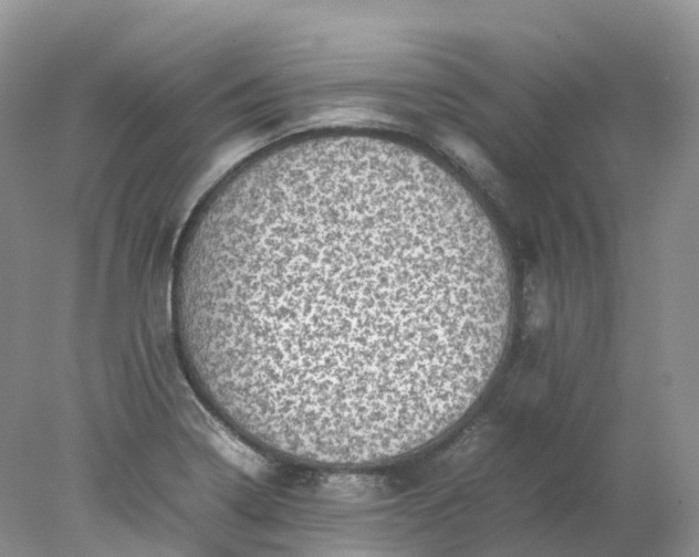 X0000078021322200611101836